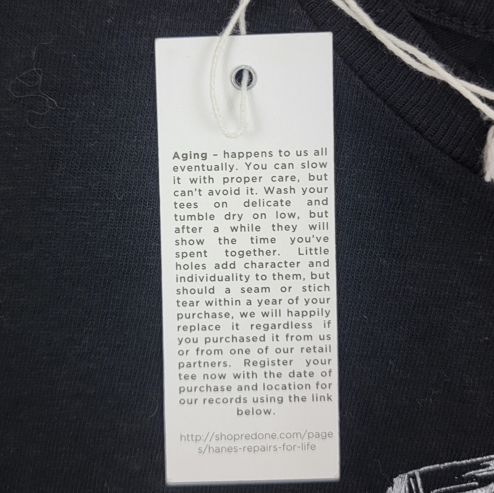 Re/Done x Hanes NWT Lake Tahoe Classic Tee - Picture 5 of 10